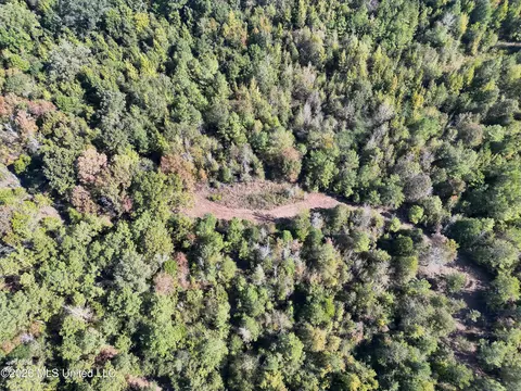 Old 51 Road, Pickens, MS 39146 photo 29