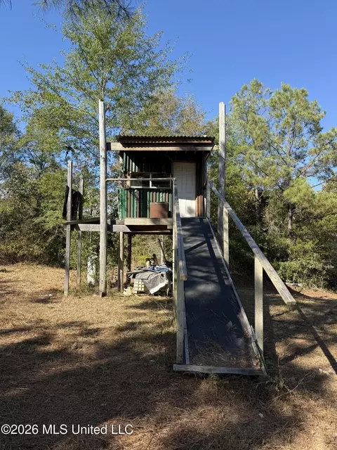 Old 51 Road, Pickens, MS 39146 photo 5