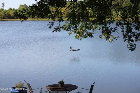 View/Area - 433 Westport Way, Flowood, MS 39232 photo 3 of 5
