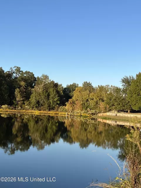 View/Area - 433 Westport Way, Flowood, MS 39232 photo 5 of 5
