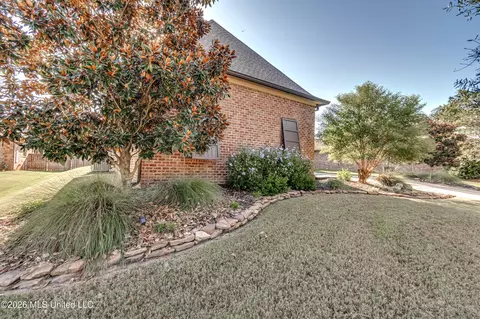Exterior - 112 Tailfeather Dr, Madison, MS 39110 photo 6 of 15