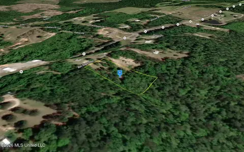 140 Ben Rogers Rd, Lucedale, MS 39452 photo 3