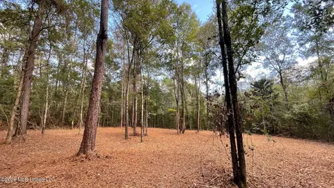 Old Hwy 49, Saucier, MS 39574 photo 6