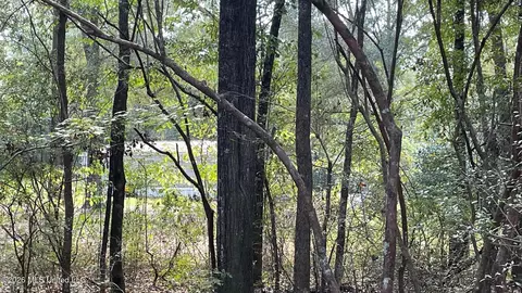 Old Hwy 49, Saucier, MS 39574 photo 7