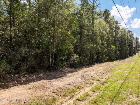 Old Hwy 49, Saucier, MS 39574 photo 9