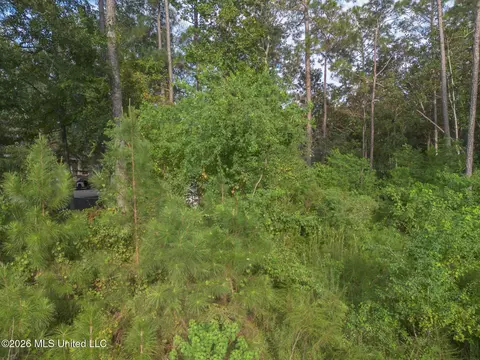 84130 Bayou Dr, Diamondhead, MS 39525 photo 6