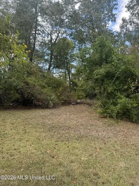 155 Lakeview Dr, Madison, MS 39110 photo 13