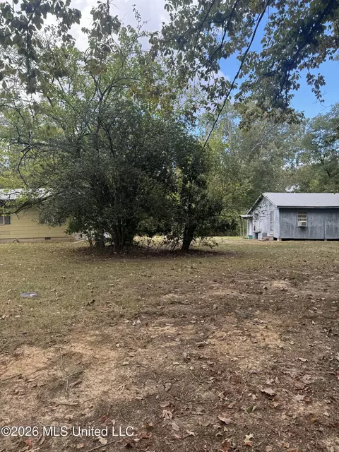 155 Lakeview Dr, Madison, MS 39110 photo 20