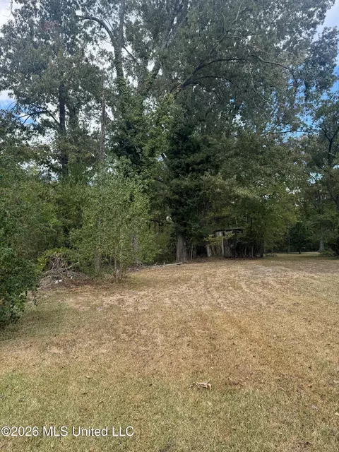 155 Lakeview Dr, Madison, MS 39110 photo 10