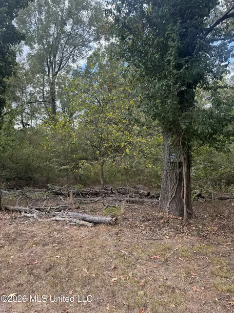 155 Lakeview Dr, Madison, MS 39110 photo 12