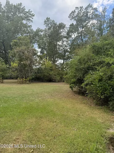155 Lakeview Dr, Madison, MS 39110 photo 11