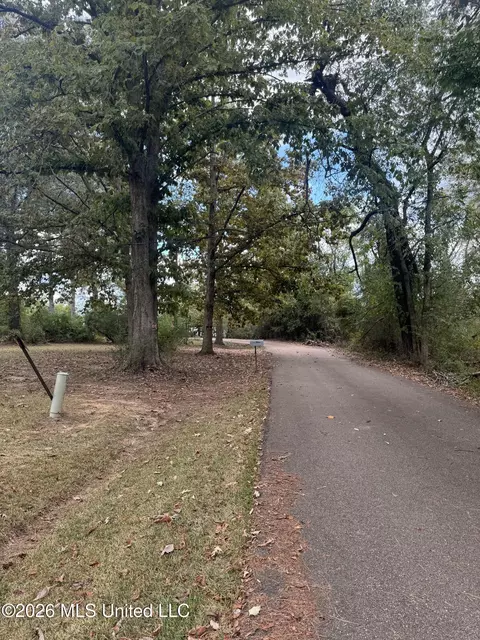 155 Lakeview Dr, Madison, MS 39110 photo 19
