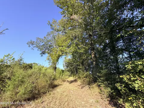 1 Butler Rd, Vaughan, MS 39179 photo 18