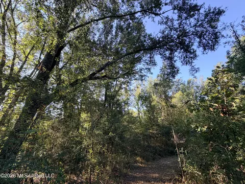 1 Butler Rd, Vaughan, MS 39179 photo 12