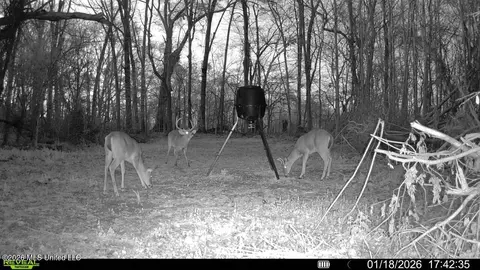 1 Butler Rd, Vaughan, MS 39179 photo 31
