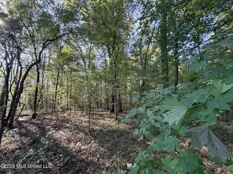 1 Butler Rd, Vaughan, MS 39179 photo 36
