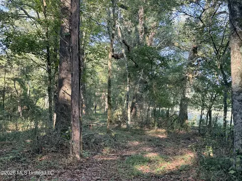 1 Butler Rd, Vaughan, MS 39179 photo 25