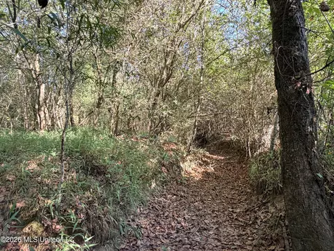 1 Butler Rd, Vaughan, MS 39179 photo 14