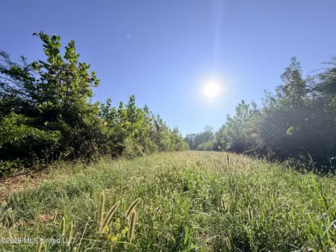 1 Butler Rd, Vaughan, MS 39179 photo 3