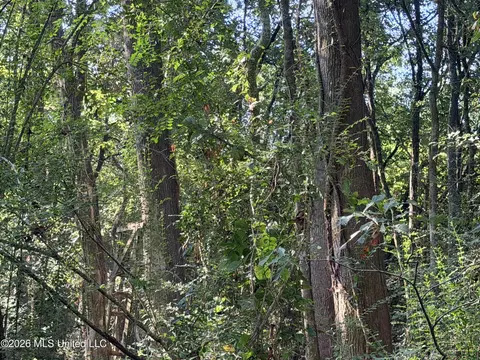 1 Butler Rd, Vaughan, MS 39179 photo 24
