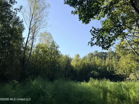 1 Butler Rd, Vaughan, MS 39179 photo 29