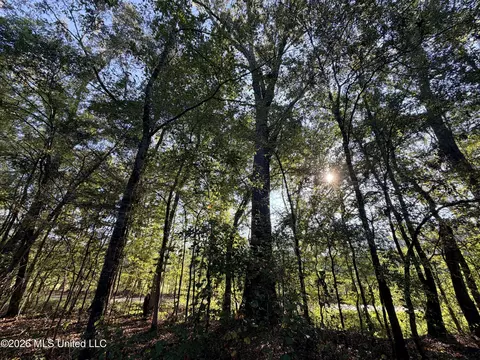 1 Butler Rd, Vaughan, MS 39179 photo 21