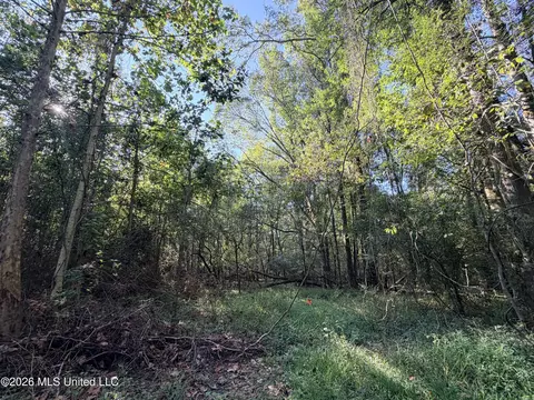 1 Butler Rd, Vaughan, MS 39179 photo 34