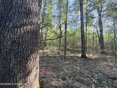 1 Butler Rd, Vaughan, MS 39179 photo 32