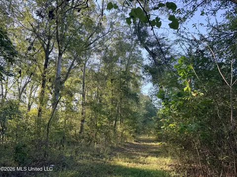 1 Butler Rd, Vaughan, MS 39179 photo 11
