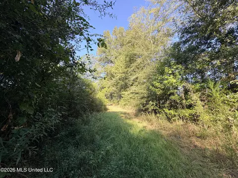 1 Butler Rd, Vaughan, MS 39179 photo 19