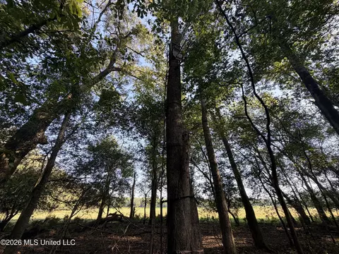 1 Butler Rd, Vaughan, MS 39179 photo 40