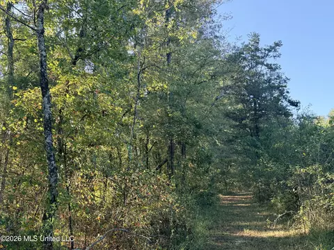 1 Butler Rd, Vaughan, MS 39179 photo 10