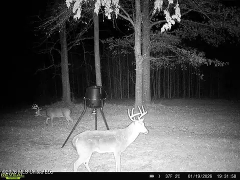 1 Butler Rd, Vaughan, MS 39179 photo 37
