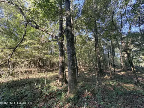 1 Butler Rd, Vaughan, MS 39179 photo 27