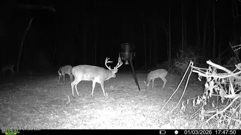 1 Butler Rd, Vaughan, MS 39179 photo 8