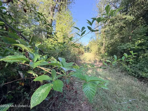 1 Butler Rd, Vaughan, MS 39179 photo 7