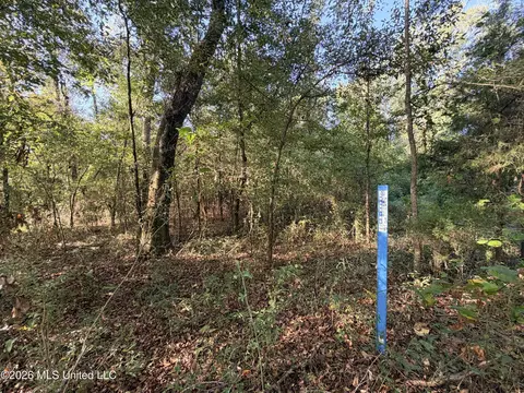 1 Butler Rd, Vaughan, MS 39179 photo 20