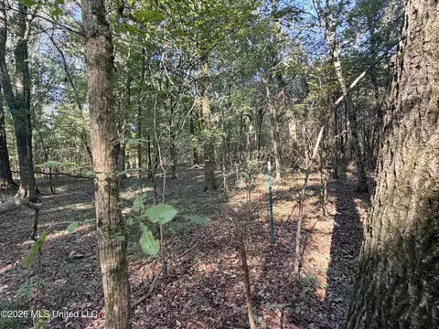 1 Butler Rd, Vaughan, MS 39179 photo 45