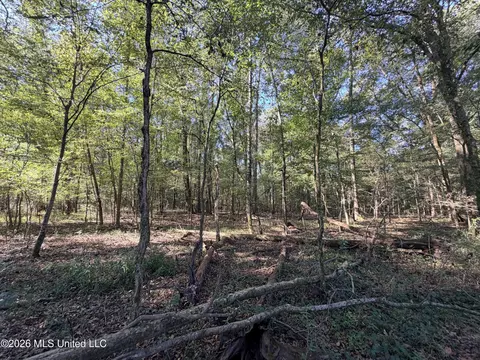 1 Butler Rd, Vaughan, MS 39179 photo 39