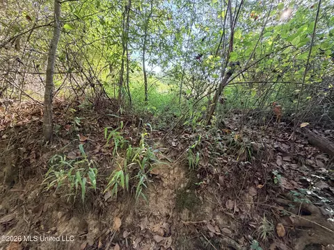 1 Butler Rd, Vaughan, MS 39179 photo 16