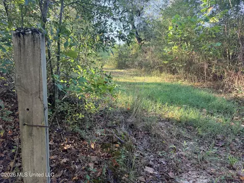 1 Butler Rd, Vaughan, MS 39179 photo 13