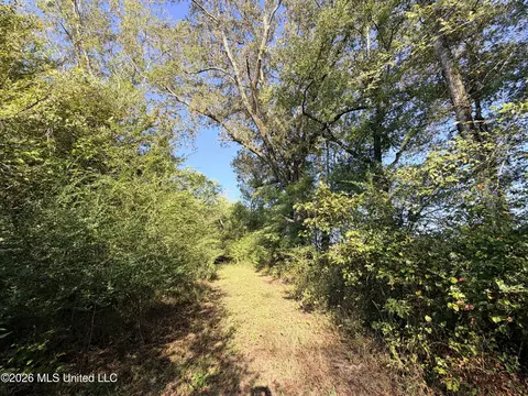 1 Butler Rd, Vaughan, MS 39179 photo 22