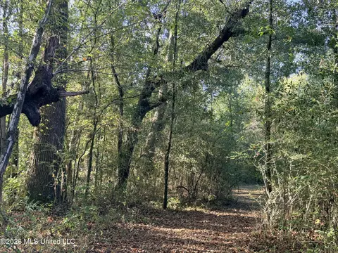1 Butler Rd, Vaughan, MS 39179 photo 9