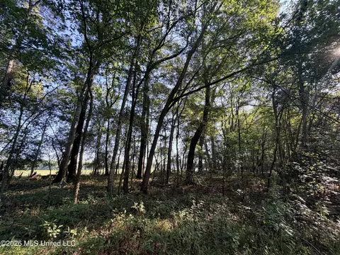 1 Butler Rd, Vaughan, MS 39179 photo 35
