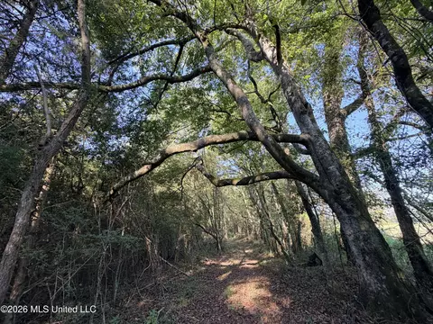 1 Butler Rd, Vaughan, MS 39179 photo 23