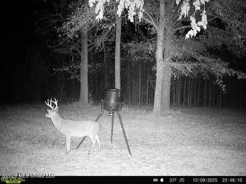 1 Butler Rd, Vaughan, MS 39179 photo 26