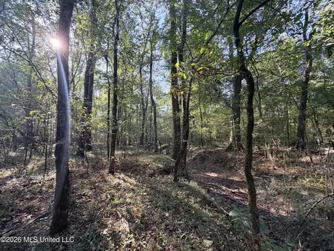 1 Butler Rd, Vaughan, MS 39179 photo 33