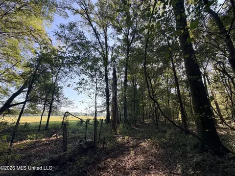 1 Butler Rd, Vaughan, MS 39179 photo 38