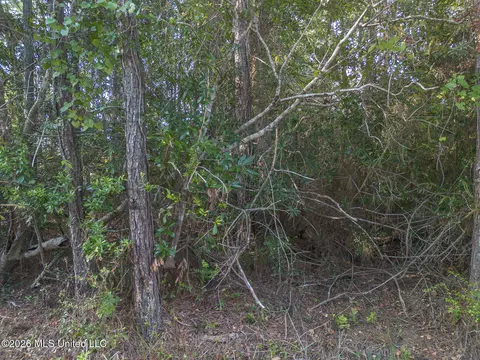 7446 Ieke Dr, Diamondhead, MS 39525 photo 6
