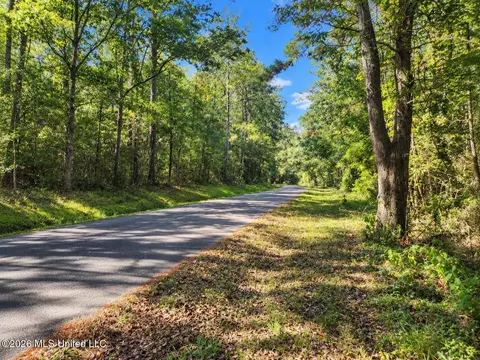 lot1 Nhn Will Thompson, Picayune, MS 39466 photo 2
